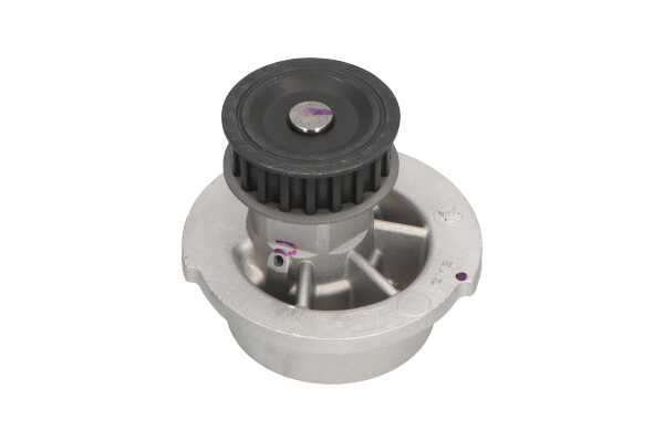 KAVO PARTS DW-1002: Bomba de água com junta