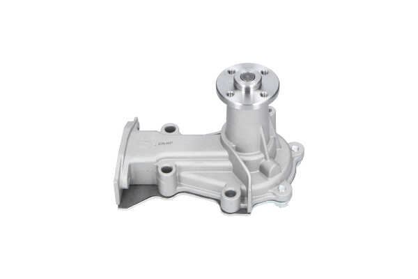 KAVO PARTS DW-1705: Wasserpumpe mit Dichtung