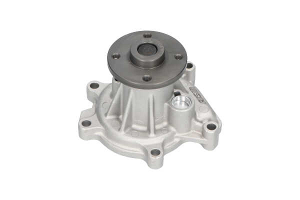 KAVO PARTS DW-1706: Wasserpumpe mit Dichtung