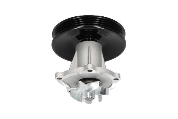 KAVO PARTS DW-1729: Wasserpumpe mit Dichtung