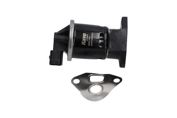 KAVO PARTS EEG-1001: AGR-Ventil ohne Dichtung