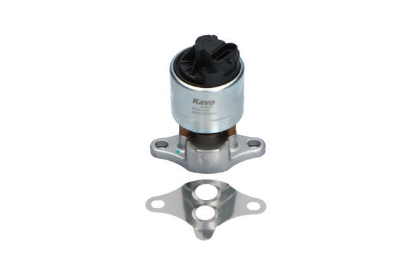 KAVO PARTS EEG-1002: AGR-Ventil mit Dichtung