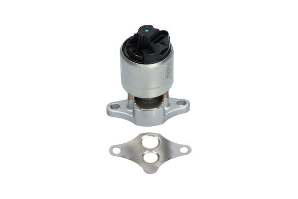 KAVO PARTS EEG-1003: AGR-Ventil mit Dichtung