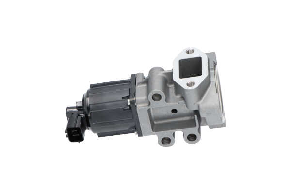 KAVO PARTS EEG-4008: Zawór EGR