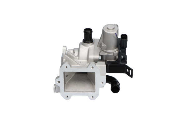 KAVO PARTS EEG-4009: Zawór EGR