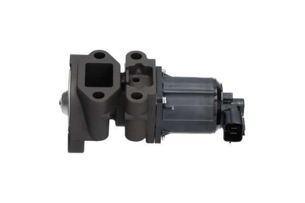 KAVO PARTS EEG-5503: Válvula EGR