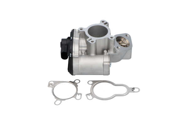 KAVO PARTS EEG-6501 Izpl. gāzu recirkulācijas vārsts RENAULT ESPACE 4 (JK0/1) 173 ZS Dīzelis cena