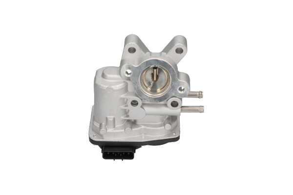 KAVO PARTS EEG-6503: Válvula EGR