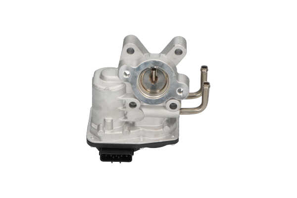 KAVO PARTS EEG-6505: AGR-Ventil ohne Dichtung