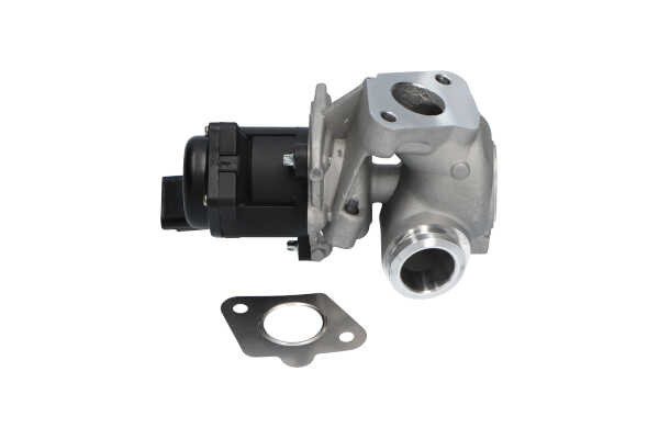 KAVO PARTS EEG-9004: Válvula EGR