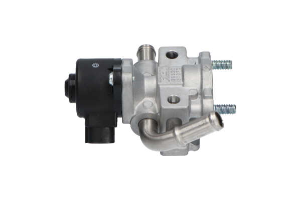 KAVO PARTS EEG-9011: Zawór EGR