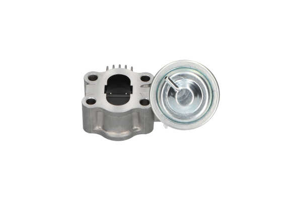 KAVO PARTS EEG-9013 ERG vožtuvas LEXUS IS 2 (GSE2, ALE2, USE2) 150 AG dyzelinas kaina