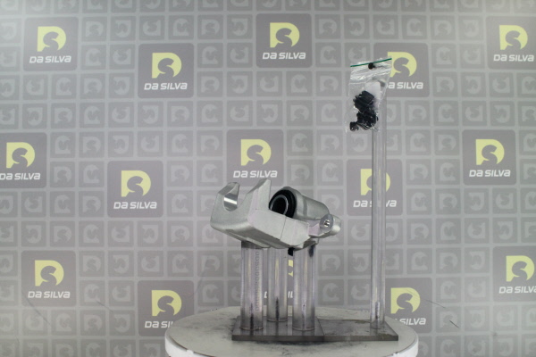 DA SILVA ET9633: Bremssattel Hinterachse rechts