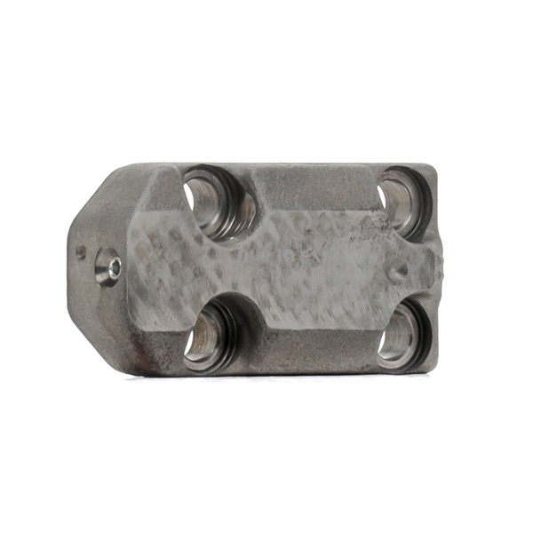 BOSCH F 00R 0P1 810: Cilinderkop