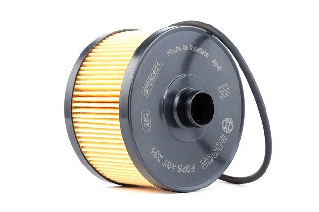 BOSCH F 026 407 231 Ölfilter MITSUBISHI ASX II 91 PS Benzin/Autogas (LPG) Kosten