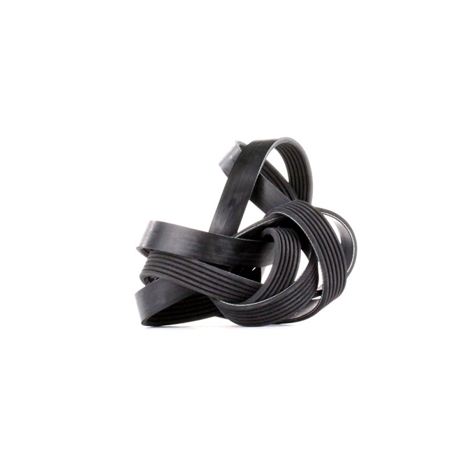 INA FB 6PK2155: Curea transmisie cu caneluri 2155mm, Numar nervuri: 6