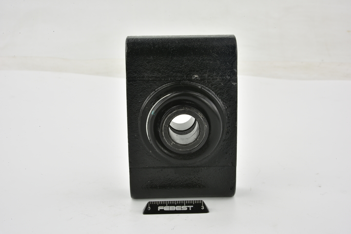 FEBEST FDAB-062Z: Lagerung, Lenker Hinterachse oben, vorne