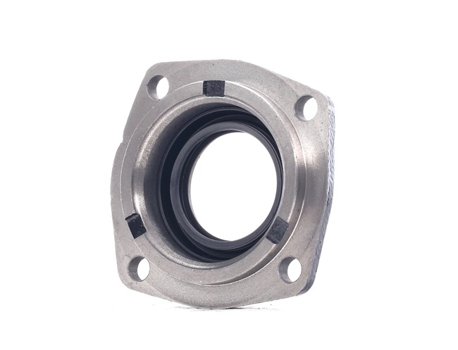 FAST FT49838 Wellendichtring, Differential FIAT DUCATO Bus (230) 128 PS Diesel Kosten