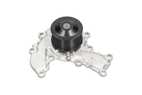 KAVO PARTS HW-1824: Wasserpumpe mit Dichtung