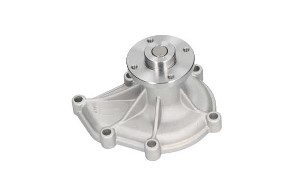 KAVO PARTS IW-1301: Wasserpumpe mit Dichtung