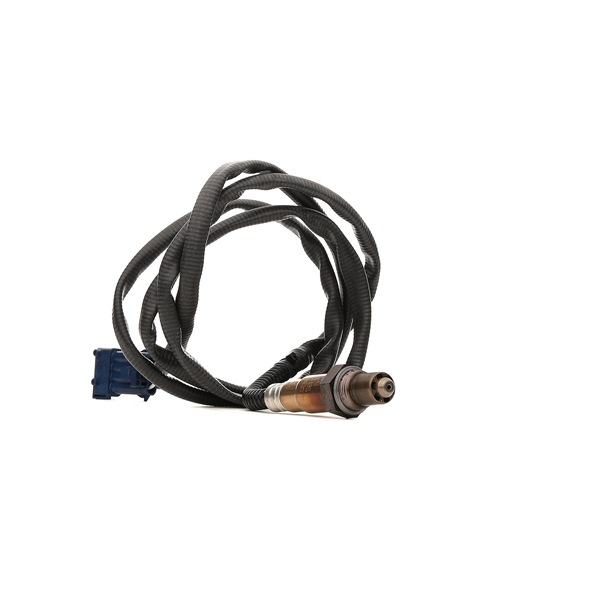 BOSCH 0 258 006 029 Lambdasonde CITROЁN C3 Picasso 113 PS Benzin/Ethanol Kosten