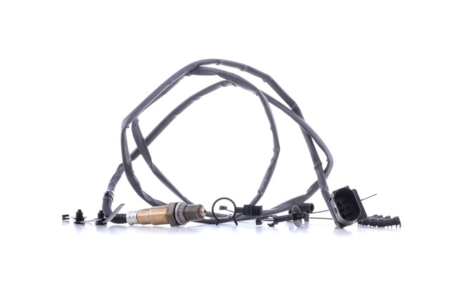 BOSCH 0 258 007 361 Lambda jutiklis VOLKSWAGEN Phaeton (3D1, 3D2, 3D3, 3D4, 3D6, 3D7, 3D8, 3D9) 241 AG benzinas kaina
