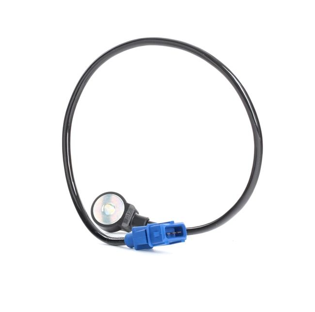 BOSCH 0 261 231 036 Klopfsensor VW Jetta 2 (19E, 1G2, 165) 105 PS Benzin Kosten