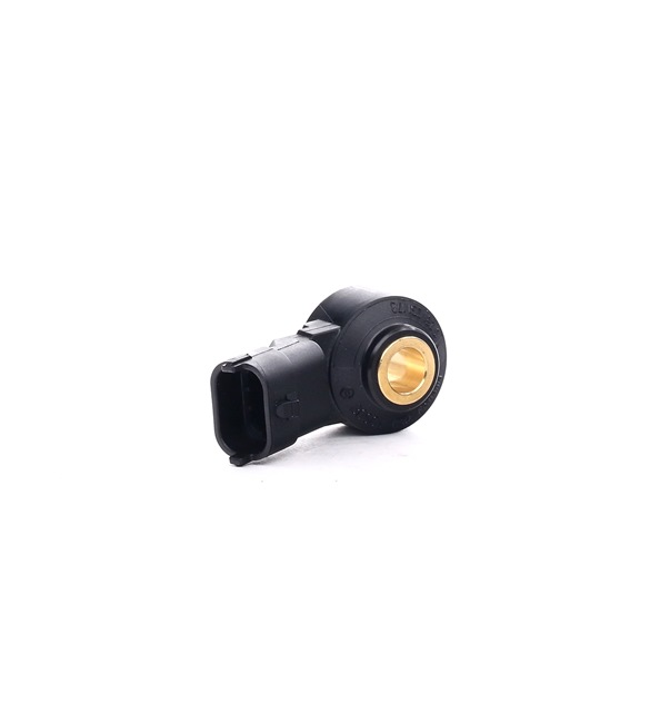 BOSCH 0 261 231 173 Detonacijos jutiklis PORSCHE 911 (991) 520 AG benzinas kaina