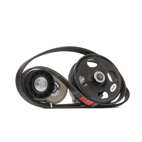 GATES KP26PK1320 Wasserpumpe + Keilrippenriemensatz FIAT PUNTO (199) 90 PS Diesel Kosten