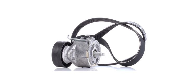DAYCO KPV110 Kit Cinghie Poly-V LANCIA YPSILON (843) 70 CV Diesel costo