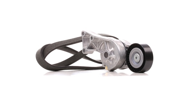 DAYCO KPV267: Set curea transmisie cu caneluri