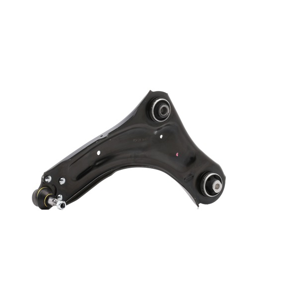 MONROE L25564 Querlenker RENAULT SCENIC 3 (JZ0/1) 131 PS Benzin Kosten