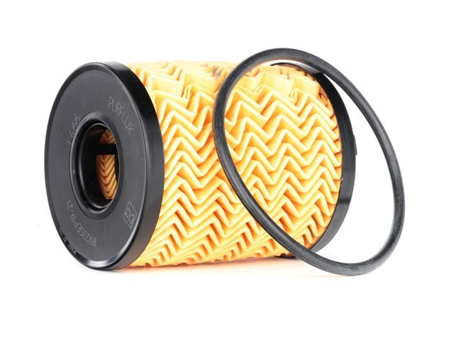 PURFLUX L466 Ölfilter FIAT PUNTO (199) 90 PS Diesel Kosten