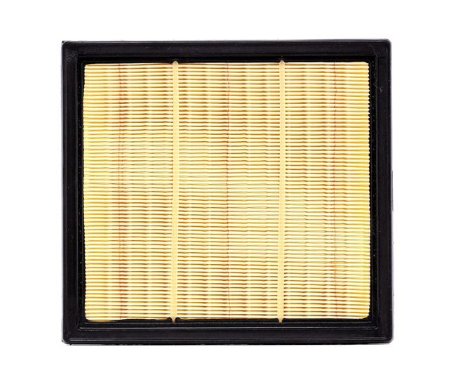 NIPPARTS N1329024: Filtro aria per condizioni d'impiego molto polverose