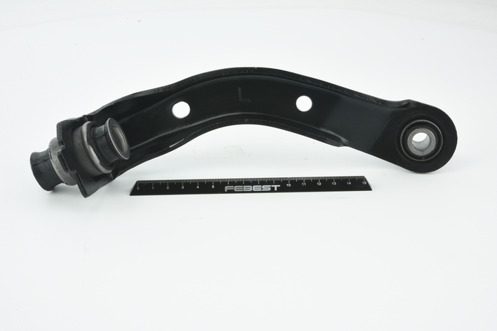FEBEST NSL-NM2 Braccio oscillante, sospensione ruota RENAULT MODUS / GRAND MODUS (F/JP0_) 75 CV Benzina/Gasauto (GPL) costo