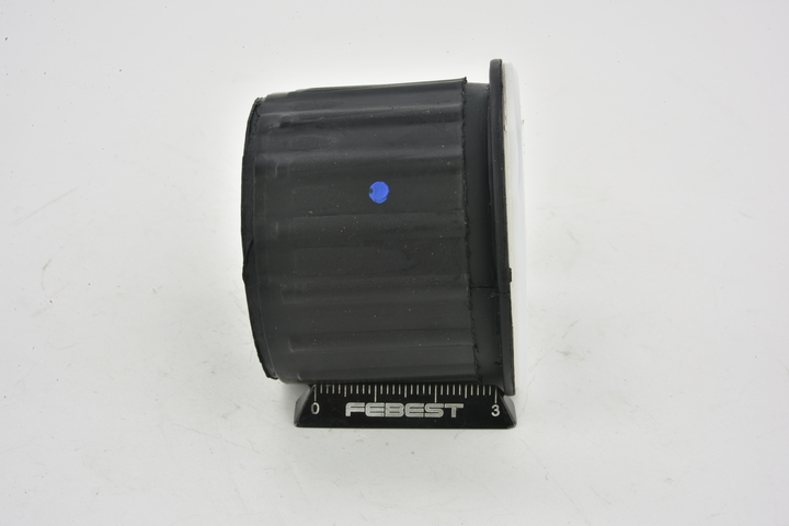 FEBEST PGSB-001 Blattfeder FIAT Ducato Bus (250_, 290_) 160 Multijet 3,0 D 4x4 158 PS Diesel