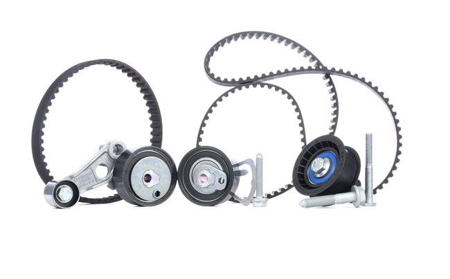BOSCH 1 987 948 254: Kit de correa de distribución Núm. dientes: 58, 464mm