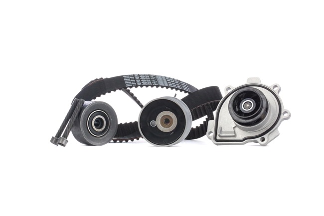 BOSCH 1 987 948 800: Vezérműszíj készlet vízpumpával Fogszám: 146, Szélesség: 24mm