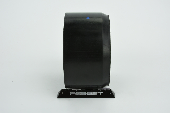 FEBEST RNAB-006 Lager, differensial RENAULT Duster (HS_) 102 hk Bensin hva koster
