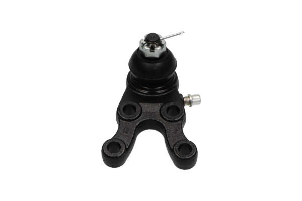 KAVO PARTS SBJ-5524: Przegub mocujący / prowadzący