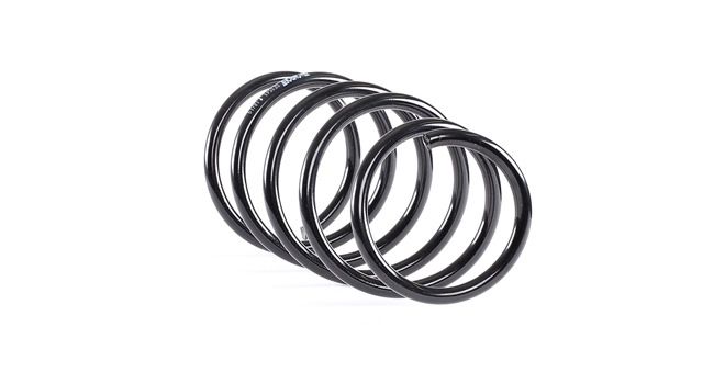 MONROE SE3543 Federn RENAULT CLIO 2 (BB0/1/2, CB0/1/2) 1.0 (CB06, CB2R, BB06, BB2R) 71 PS Benzin