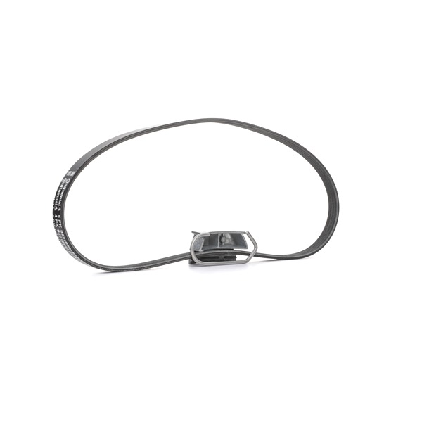 CONTITECH 4PK922 ELAST T1: Set curea transmisie cu caneluri