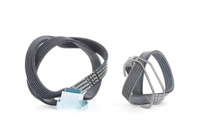 CONTITECH 6PK1019 ELAST T1: Poly V-riem set