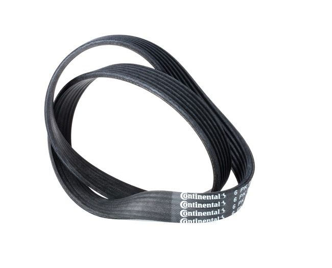 CONTITECH 6PK842 ELAST: Correia trapezoidal estriada 842mm, Número de nervuras: 6