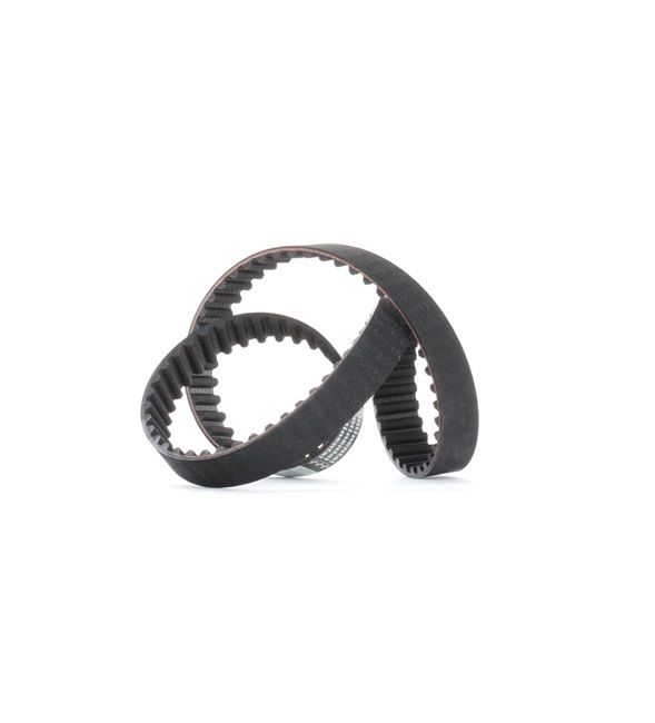 CONTITECH CT1013: Courroie de distribution Nbr. dents: 101