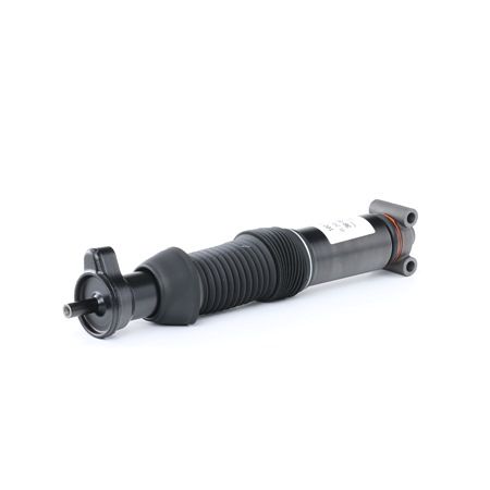 SACHS 102 811: Amortizor presiune ulei, Telescop - amortizor Hydropneumatic damping unit
