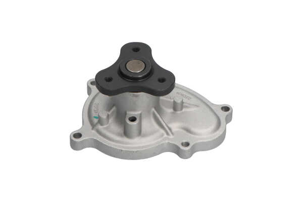 KAVO PARTS SW-1667: Wasserpumpe mit Dichtung