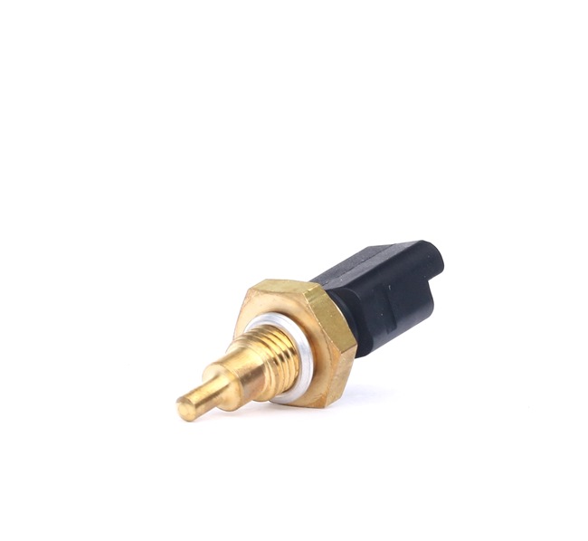 DELPHI TS10401: Temperatuursensor M12