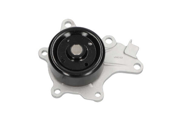 KAVO PARTS TW-5153: Wasserpumpe mit Dichtung