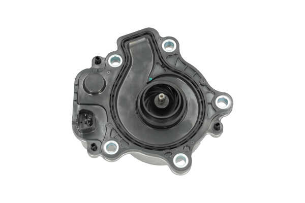 KAVO PARTS TW-6001E: Wasserpumpe mit Dichtung